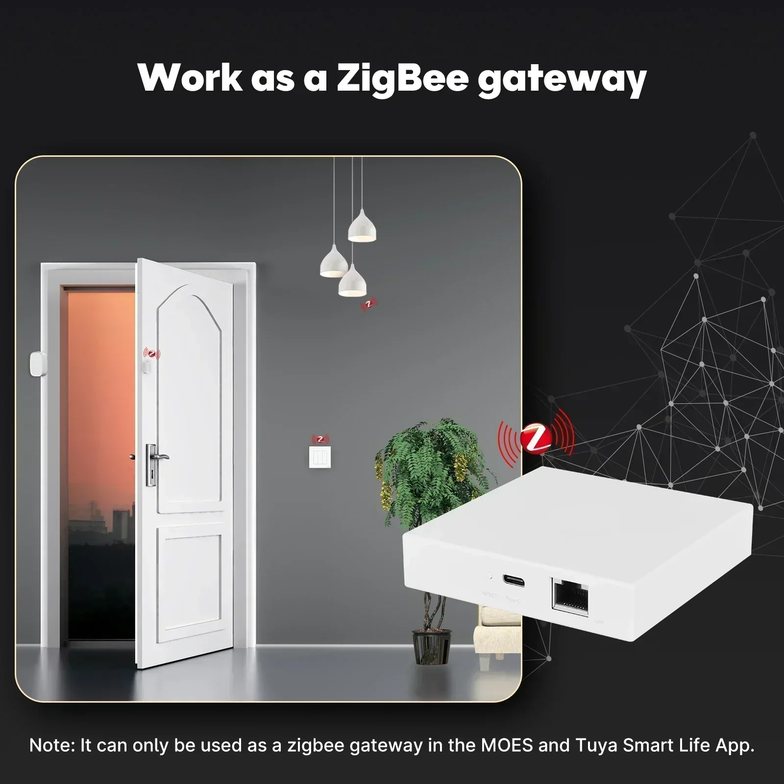 MOES Tuya Zigbee Matter Thread - Smart Home Gira reseña y precio