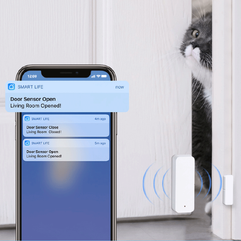 Sensor de contacto para puerta - Smart Home Solution reseña y precio